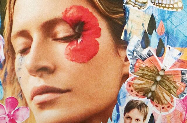 Die Ausstellung findet in der Galerie Zwischendecke statt. | Foto: Zwischendecke