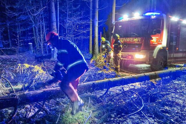 Zahlreiche Einsätze prägten das vergangene Jahr der Bad Goiserer Einsatzkräfte. | Foto: FF Bad Goisern