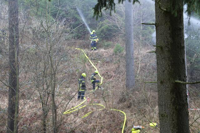Foto: Florian Stierschneider