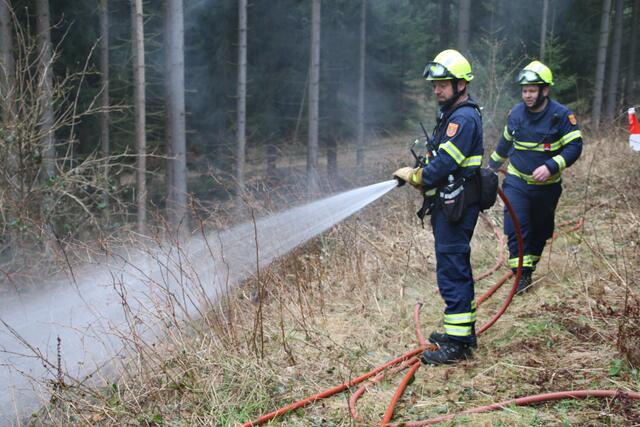 Foto: Florian Stierschneider