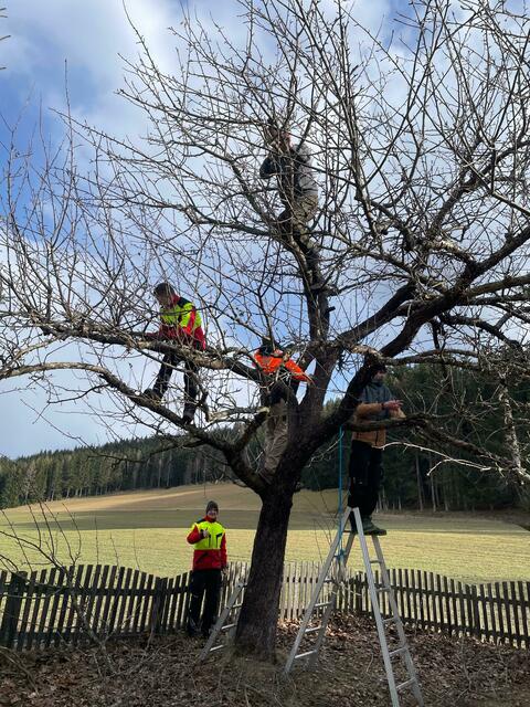 Das erlernte Wissen wurde schließlich in der Praxis umgesetzt | Foto: LFS Tamsweg