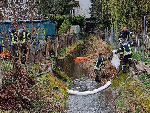 Öl gelangte in Berndorf  in den Veitsauerbach. | Foto: BFKDO BADEN / Stefan Schneider