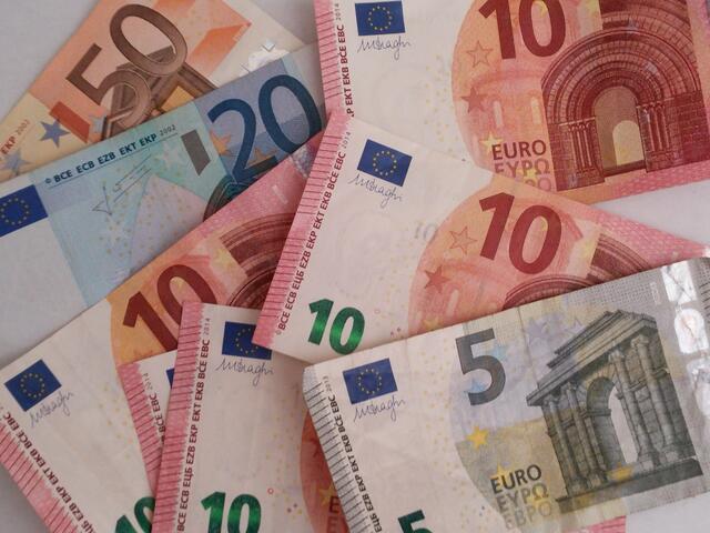 Rund 300 Millionen Euro haben die Waldviertler in den letzten Jahren allein der Waldviertler Sparkasse an Einlagen anvertraut. | Foto: pixabay