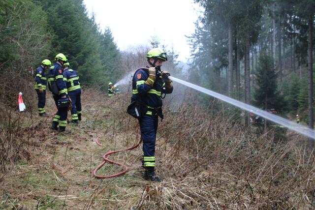 Foto: Florian Stierschneider