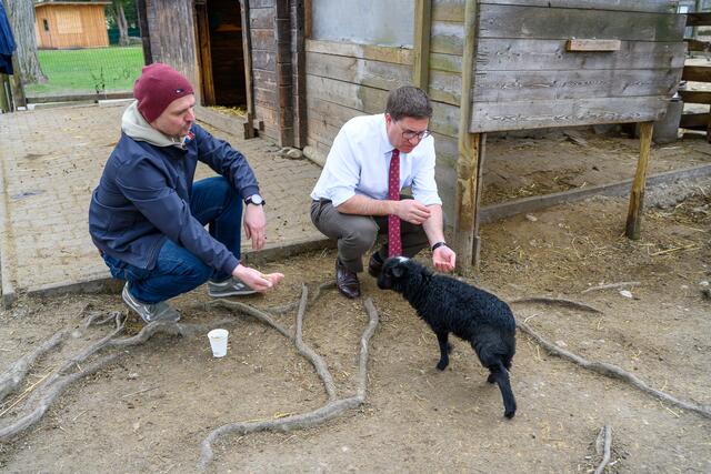 Bürgermeister Andreas Rabl und Tiergarten-Referent Thomas Rammerstorfer hießen die Neubürger willkommen. 