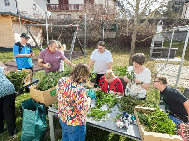 Gemeinsames Palmbuschen-Binden für die Aktion der Arbeitsgruppe Freistadt/Unterweißenbach der Lebenshilfe OÖ. | Foto: Lebenshilfe OÖ