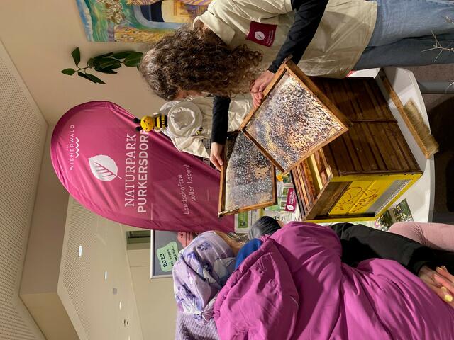 Foto: Stadtbibliothek Purkersdorf