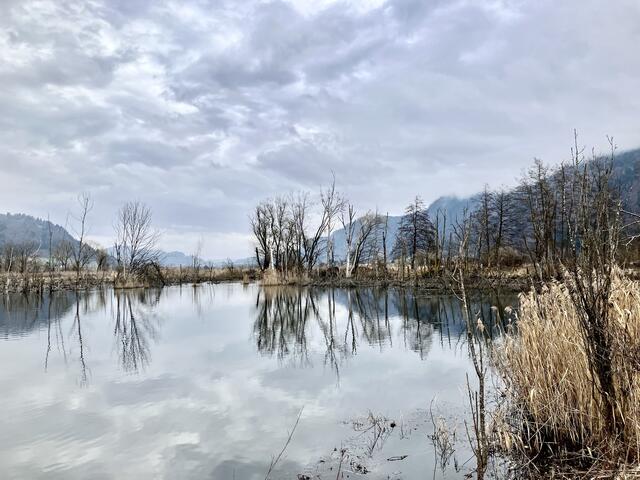 Moorlandschaft