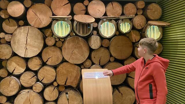 Waldwerkstatt im Nationalpark. | Foto: Anna Klein; Nationalpark Kalkalpen