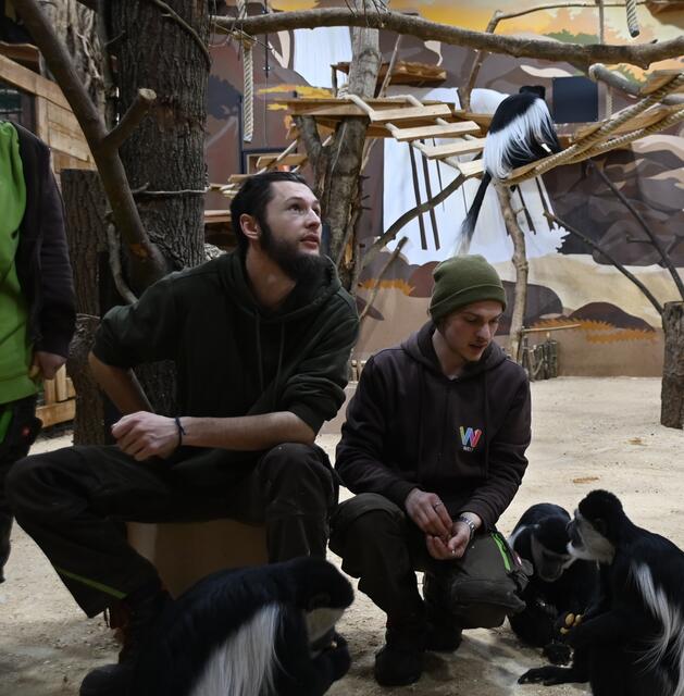 Johannes und Marc bei den Guereza Affen. 