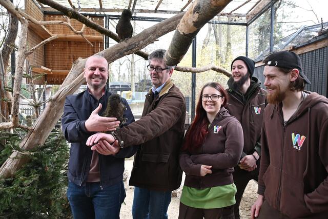 Thomas, Gyula, Kathi, Johannes und Alexander. 