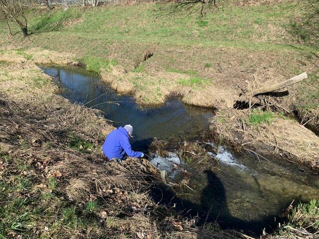 Foto: © Naturschutzbund-Stadtgruppe Linz