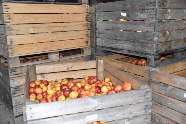 Äpfel im Lager. | Foto: Preineder
