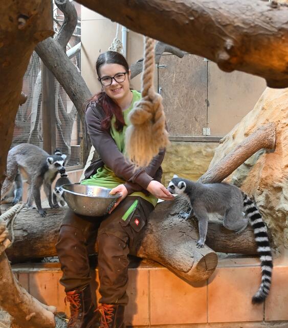 Kathi bei den Kattas. Lehrling