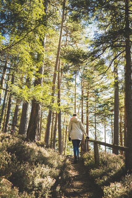 Die heimischen Naturparks bieten zahlreiche Möglichkeiten für Wanderungen.