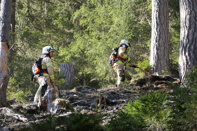 Am Donnerstag kam es zu einem größeren Waldbrand am Plansee. Ein 36-Jähriger ist geständig, mehrere Brandherde an der Planseestraße im Bereich des Heiterwanger Sees und Plansees gelegt zu haben. | Foto: ZOOM.TIROL