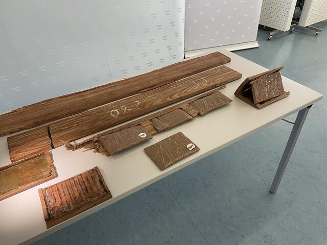 Foto: Tanja Handlfinger