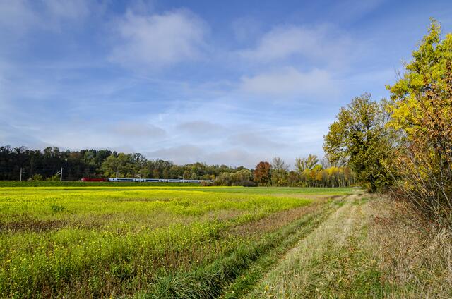 Foto: meine-wanderwege.at