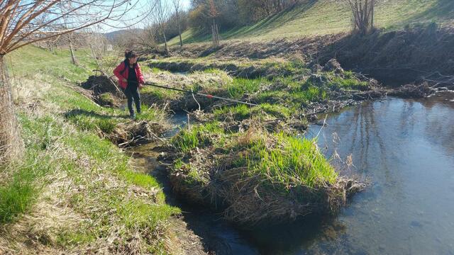 Foto: © Naturschutzbund-Stadtgruppe Linz