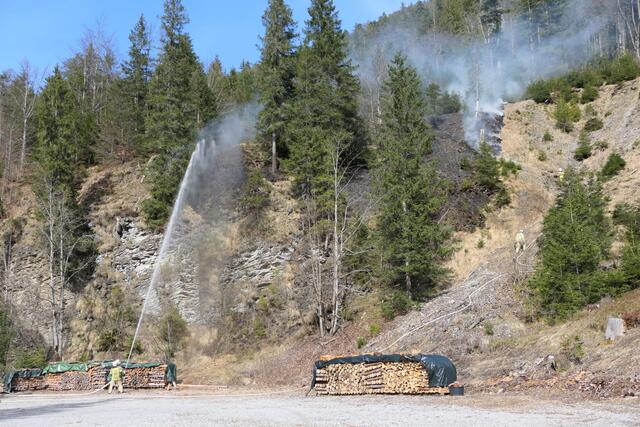 Am Donnerstag kam es zu einem größeren Waldbrand am Plansee. Ein 36-Jähriger ist geständig, mehrere Brandherde an der Planseestraße im Bereich des Heiterwanger Sees und Plansees gelegt zu haben. | Foto: ZOOM.TIROL
