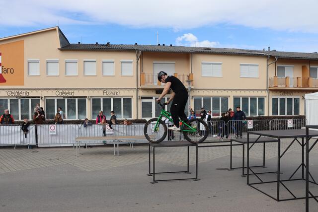Foto: Kathrin Santha
