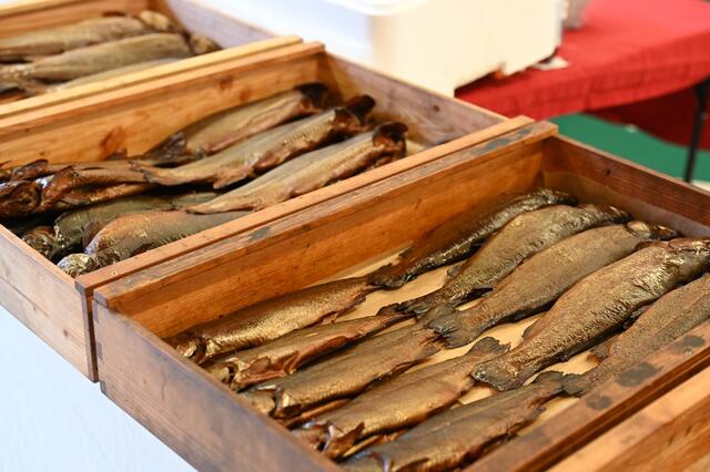 Foto: Wilfried Fischer