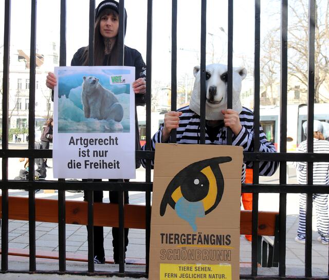 Der Tiergarten Schönbrunn sei ein "Tiergefängnis", so der VGT.