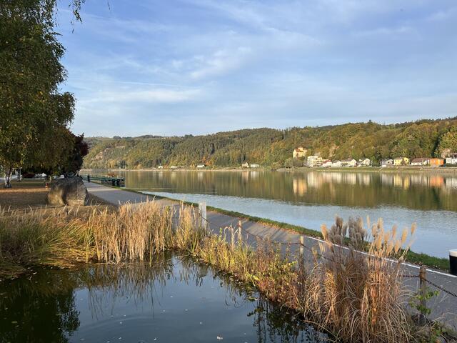 Die Koblrunde in Aschach an der Donau startet an der Kirche und führt über eine Strecke von 5,4 Kilometern durch Wiesen, Felder und Waldgebiete.  | Foto: BRS