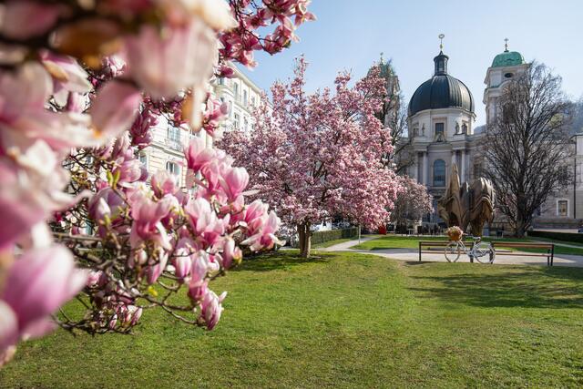 Mit dem Rad durch Salzburgs Radfrühling | Foto: Salzburger Landtourismus / Michael Grössinger