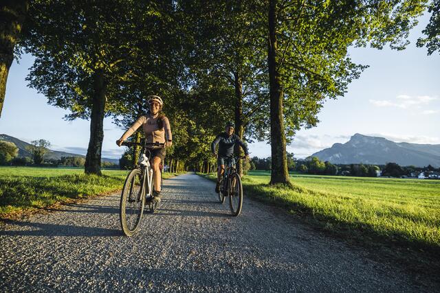 Über die Hellbrunner Allee geht es hinein in die Stadt Salzburg.   | Foto: Salzburger Land