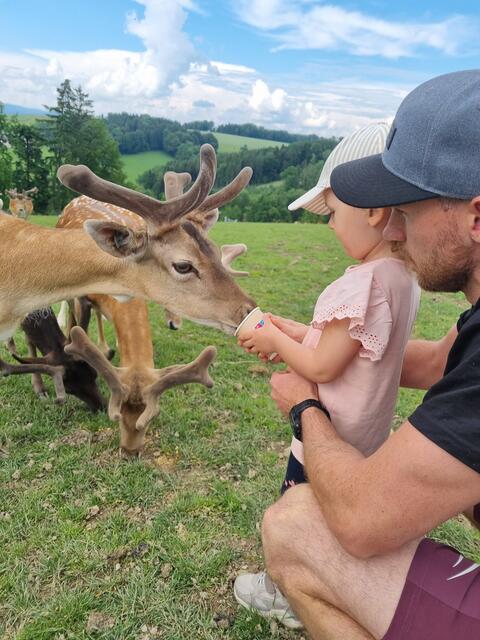 Der Wildpark Hochrieß bietet ein Natur-Erlebnis für die ganze Familie. | Foto: Wildpark Hochrieß