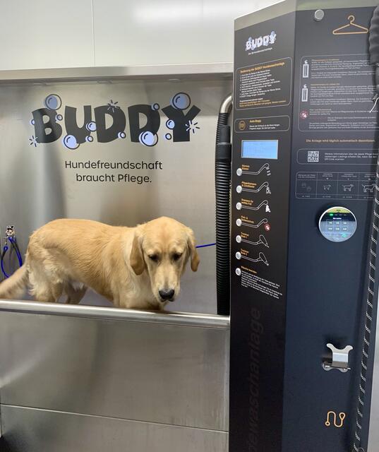 Foto: Buddy