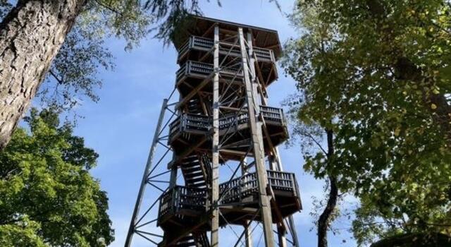 Der Aussichtsturm in der Blockheide. | Foto: Pilz