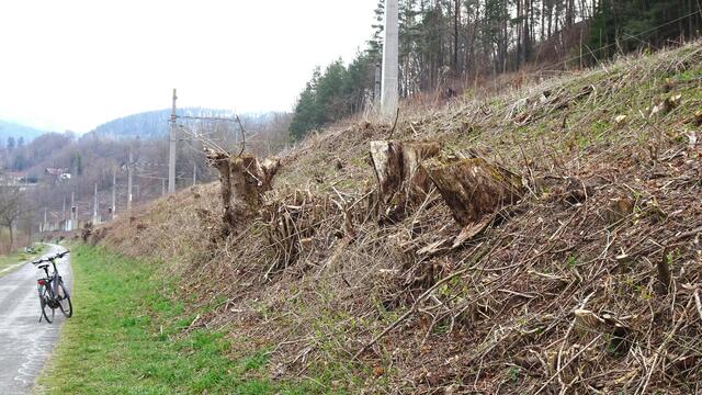 Auch die Böschungen zu den Gleisen der Tauernbahn wurden im Bereich vom Draukraftwerk bis zur Fellacher Brücke abgeholzt. 
