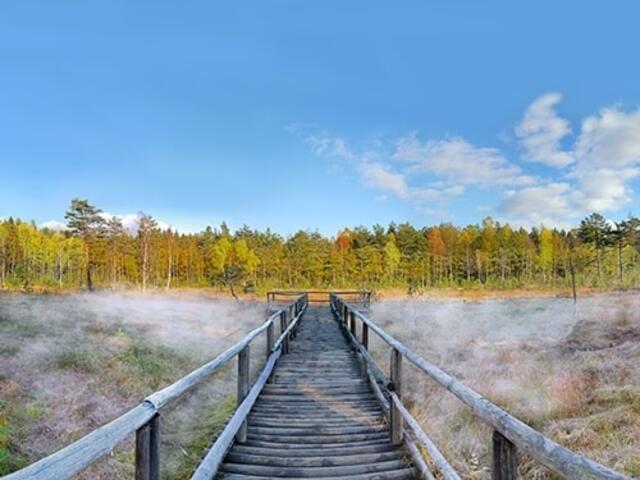 Mystisches Heidenreichsteiner Moor | Foto: Horst Dolak