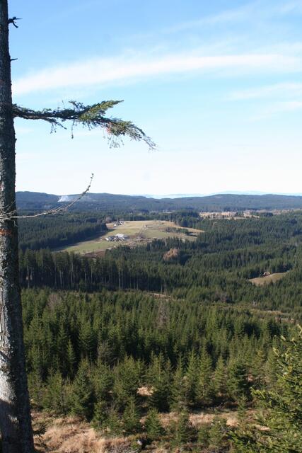 Grandiose Aussicht vom Aichelberg. | Foto: Jungmann