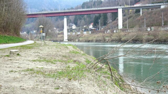 Nur ein dürrer Ast ist von der sinnlosen Abholzung auf den Drauufern übriggeblieben. 