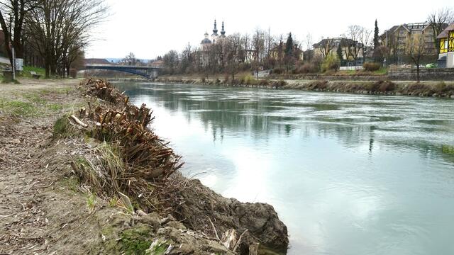 Auch im Bereich CongressCenter bis zur Heiligenkreuz Kirche wurden die Stauden einfach entfernt. 
Ich frage mich:  "WIESO"??? 