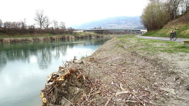 Die "nackten" Drauufer schauen auch für die Rad- und Fußgänger sehr traurig aus. Die nistfreudigen Vögel haben keine Chance mehr, hier ihre Nester zu bauen.