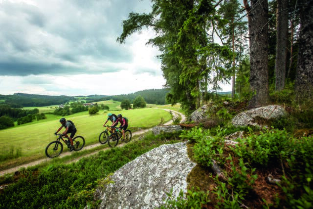 Über Stock und Stein geht's auf dem Granittrail. | Foto: Waldviertel Tourismus/Erwin Haiden