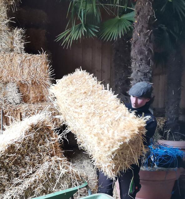 Harald im Strohlager. 