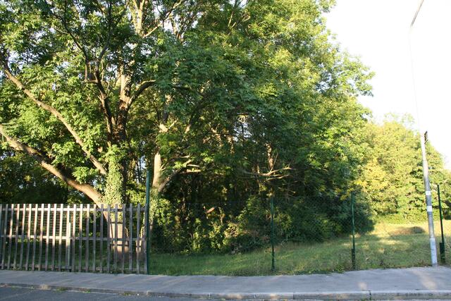 Die Meidlinger achten sehr auf "ihr" Stadtwäldchen. | Foto: Pufler