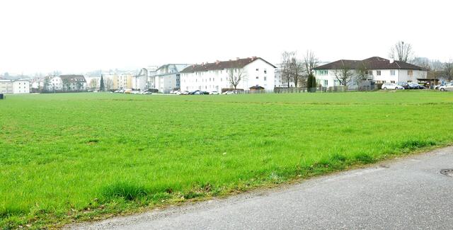 Möglicher Standort eines Linz-AG-Heizwerks in Gallneukirchen: Rechts der Kindergarten St. Gallus, links die Starhembergsiedlung.