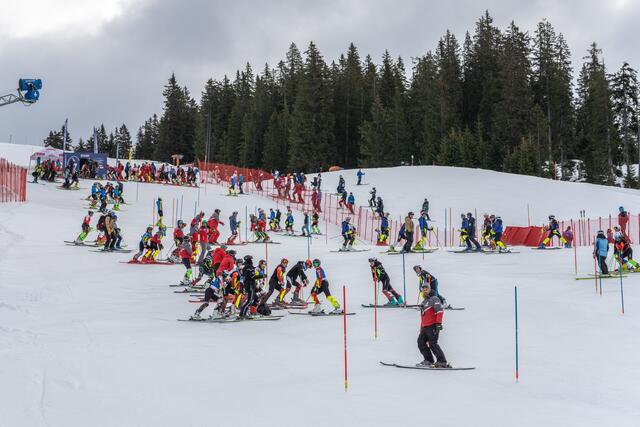 Foto: alpinguin