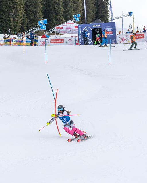 Foto: alpinguin