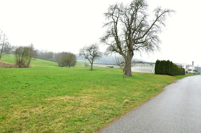 Biogasanlage in Engerwitzdorf-Langwiesen, Ostseite | Foto: Johann Dumfarth