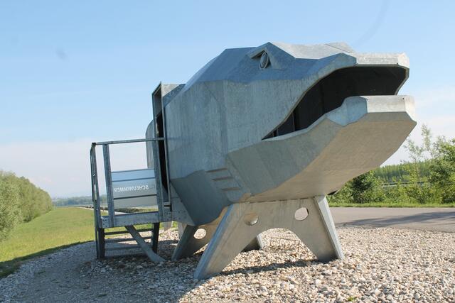 Riesenfisch "Doni" am Donauradweg in Naarn zieht die Blicke – und viele Rezensionen – auf sich. | Foto: BezirksRundSchau Perg