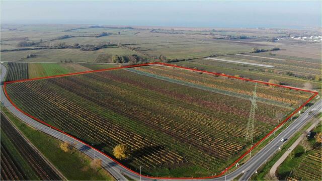 Das geplante Krankenhaus in Gols spaltet weiter die Gemüter. | Foto: Nikolaus Gracher