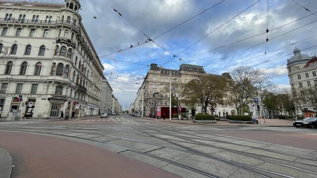 Beginnen solle der Umbau der Wallensteinstraße im Abschnitt zwischen Friedensbrücke und Wallensteinplatz – und zwar noch dieses Jahr. | Foto: Kathrin Klemm