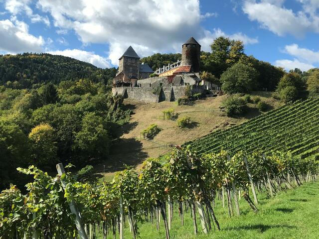 Im Burgmuseum wird heuer die Ausstellung "Keller, Küche, Kemenate - Burgenarchäologie und Knochenarbeit auf der Burg Deutschlandsberg" gezeigt.  | Foto: Archeo Norico